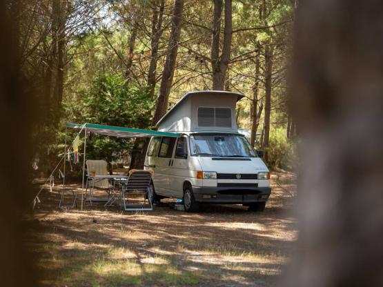 BASIC : Pitch camping-car / Caravan (-5m)