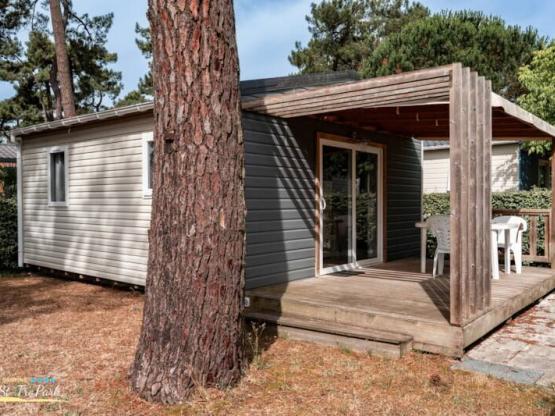 Hütte Confort 26.5m² (2 zimmer) + überdachte Terrasse + TV