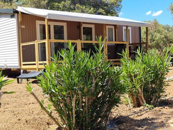 Mobile-Home COTTAGE 6 - 31m²  - AZUR RANGE