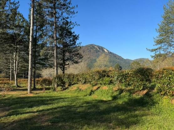 Confort Pitch - 10A electricity + water + 120m²