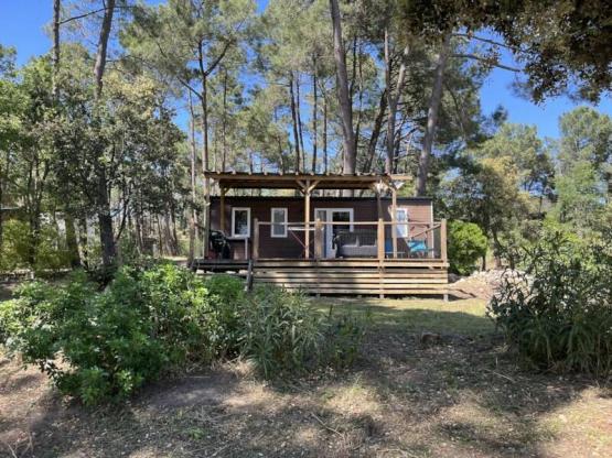 MH PREMIUM MONTMIRAIL Air-co-MONT VENTOUX VIEW- 3-bedrooms  + dishwasher + TV (4 adults +2 child)