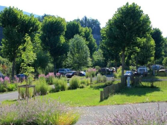 Pitch + 1 car + tent , caravan or motor home