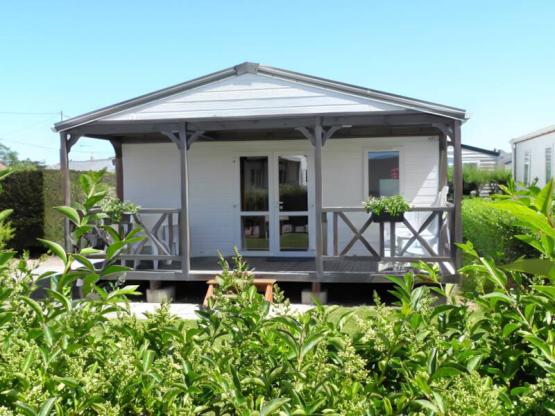 Chalet 2 bedrooms - 35m² +  sheltered terrace