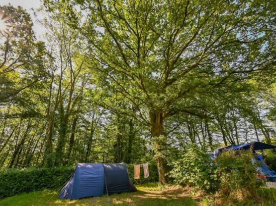 Bike / walk camping pitch