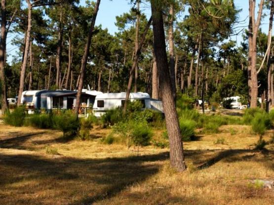 ESPACE : Pitch camping-car / Caravan (7 à 8.5m)