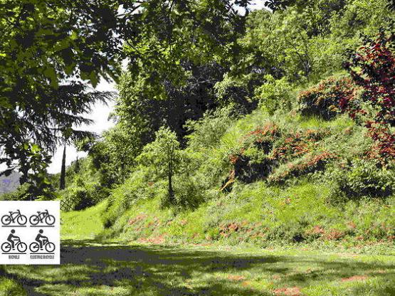 Place spécial Vélo / Bicycle
