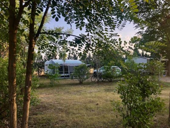 06 Pitch XXL (+200m²)  car + Electricity 6A