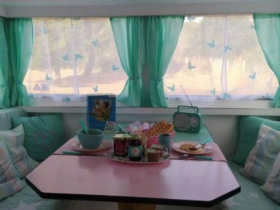 Vintage Cotton Candy Caravan