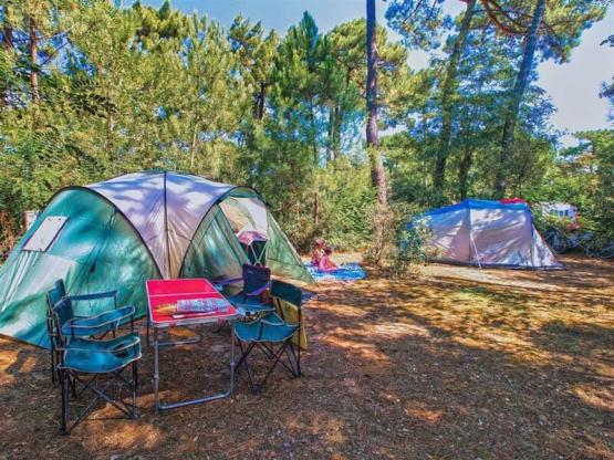 Tent pitch (Parc La Forêt)