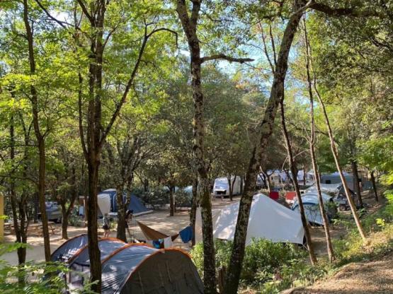 Pitch: tent or caravan with 1 car, or motorhome/van with electricity