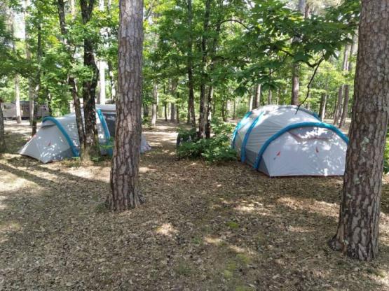 Camping package (pitch + 1 vehicle)