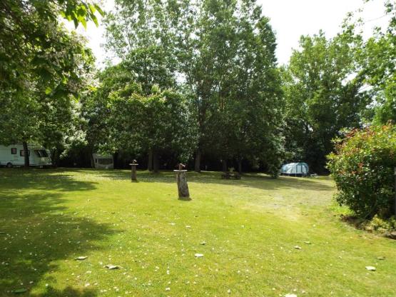 Camping Pitch (Tent, Caravan or Campervan) including 6 amp electricity (YE2)