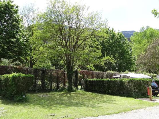 Pitch + car + tent or caravan