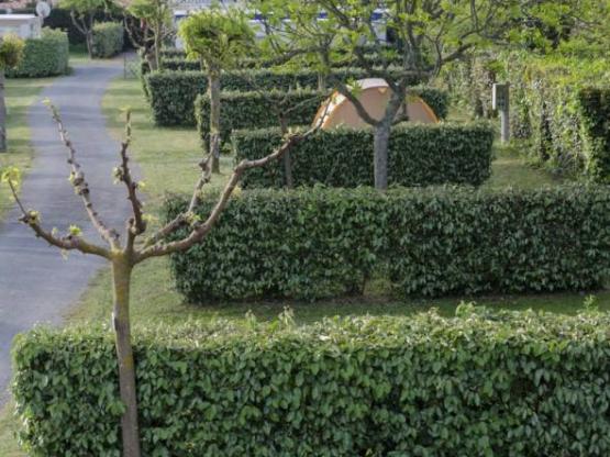 Pitches between 70 and 90 m² with or without electricity for 1 to 6 people maximum