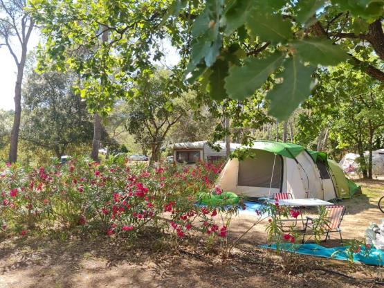 Pitch TENT CLASSIQUE with electricity 6A