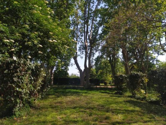 Pitch for one person with a motor vehicle (car, motorhome or motorbike)