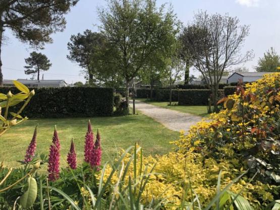 XL Bare Pitch for motorhome, caravan or tent WITH Electricity