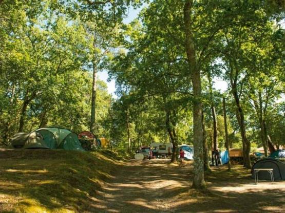 Pitch without electricity + 1 car + 1 tent or caravan -