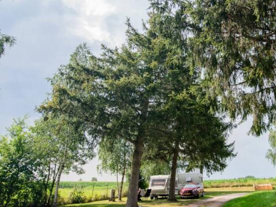 Camping package (pitch, 2 people, 1 vehicle)