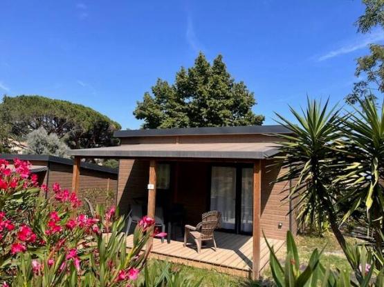 Chalet Escapade 2 bedrooms (28m² + air conditioner + dishwasher + terrace covered + television)