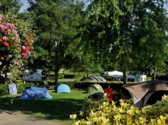 Pitch + 1 car or motor home -