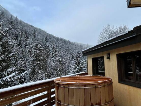 Gamme Chrystal - Chalet Kailloux 54m² 3 bedrooms + terrace 30m²