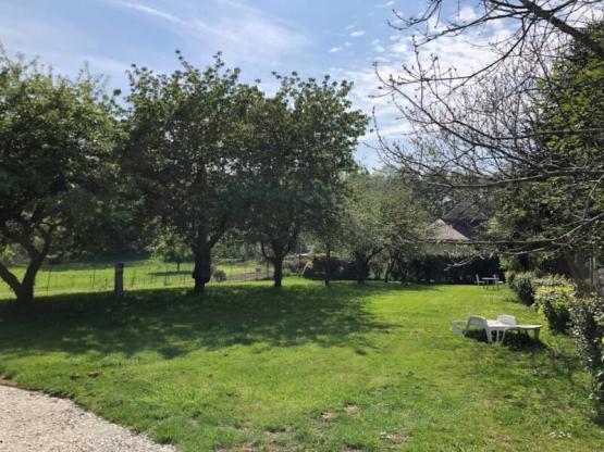 Standplaats + tent + elektriciteit