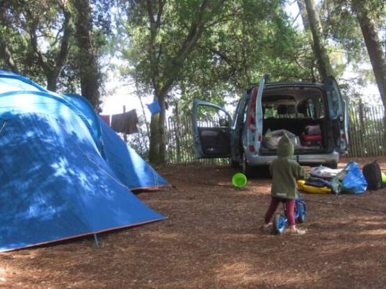Tent pitch with electric