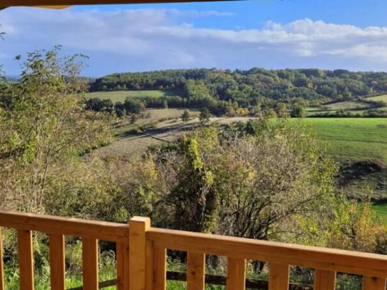 Chalet Premium 30m² (2 bedrooms) + sheltered terrace 12m² + TV + A/C