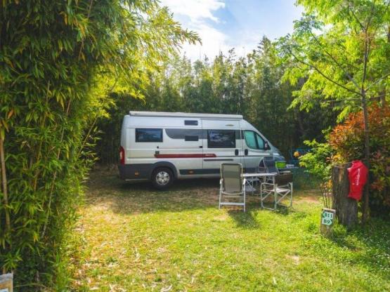 Comfort Large Tent/Van/Caravan/Motorhome Pitch (with electricity)
