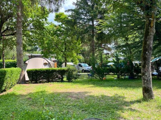 Pitch Confort XL Tent/Van/Caravan/Motorhome (electricity included)