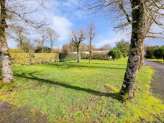 Pitch with electricity Family Plus