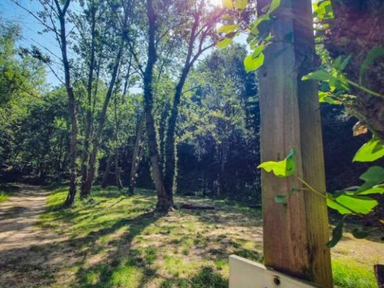 Package pitch 1 tent  (7x3m max.)  (price based on 2 persons) With electricity. No vehicle on pitch