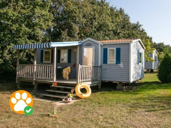 Pet friendly cottage 6pers