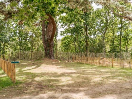 Nature Package (1 tent, caravan or motor home / 1 car)