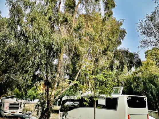 EMPLACEMENT CAMPING-CAR + ELECTRICITE