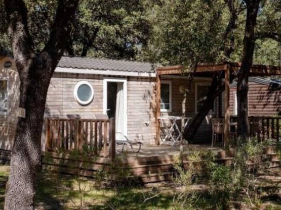 Mobile home Premium - 25 m² - 2 bedrooms - Raised terrace