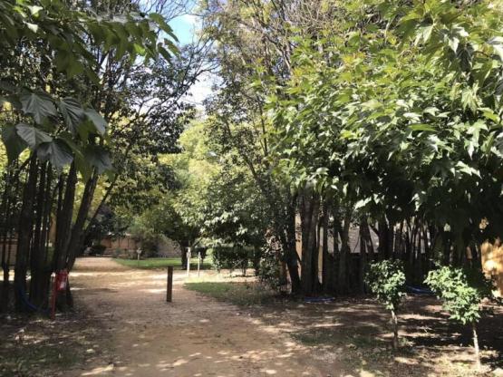 Emplacement + 1 camping-car + électricité 10A