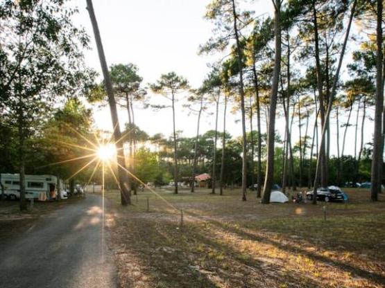 Large Camping-Car Pitch on grass and sand