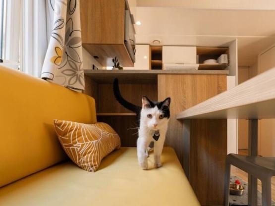 Mobile-home RESASOL 8P - Animals allowed