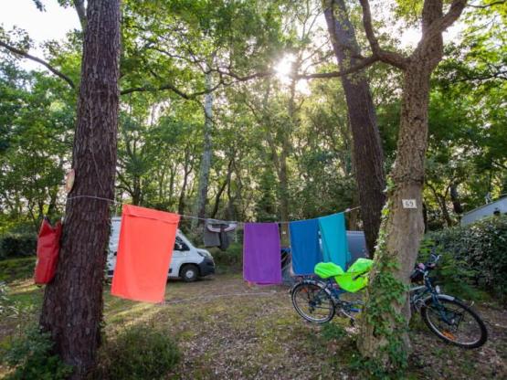 Pitch with electricity + 1 car + 1 tent or caravan