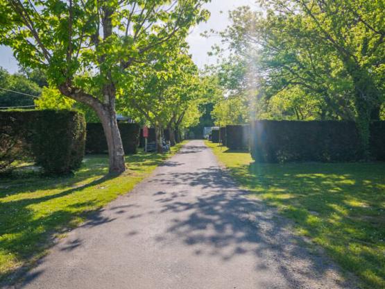 Pitch Privilege 4 bunches: car + caravan or camper van 2/6 pers