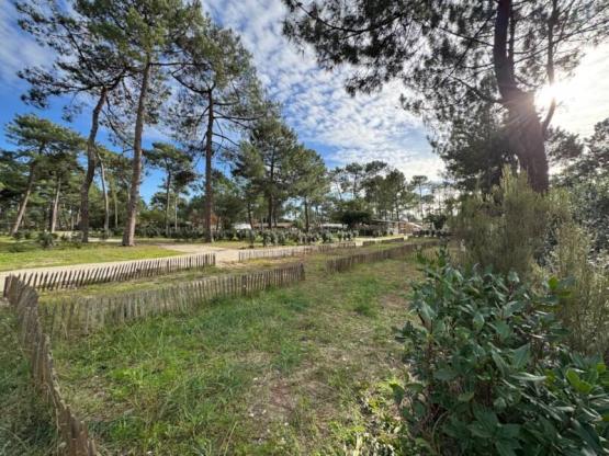 Shared pitch 2 bikes/pedestrian + tent