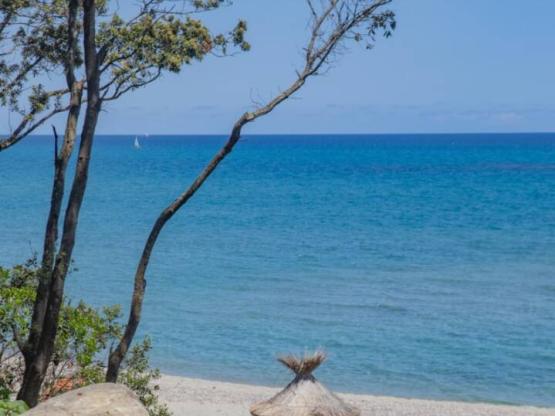 Pitch 1st line seaside (tent or caravan or motor home)