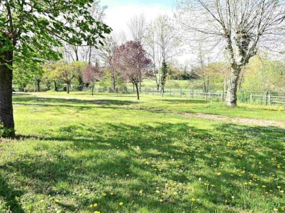 Comfort Pitch - 1 vehicle