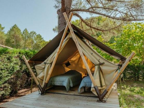 New for 2025! Ecolodge -