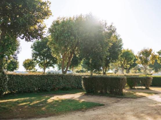 Stabilised pitch for 2 persons and electricity