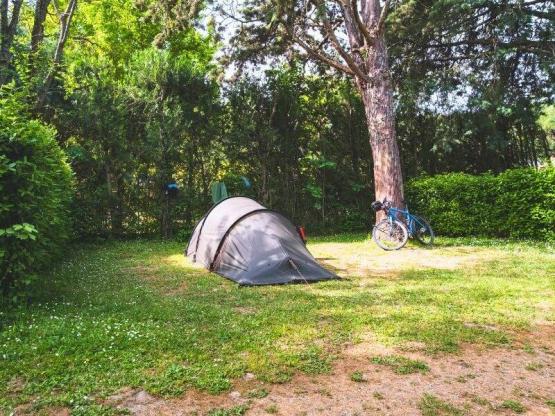 Comfort Pitch medium for Tent/Van < 5m (with electricity)