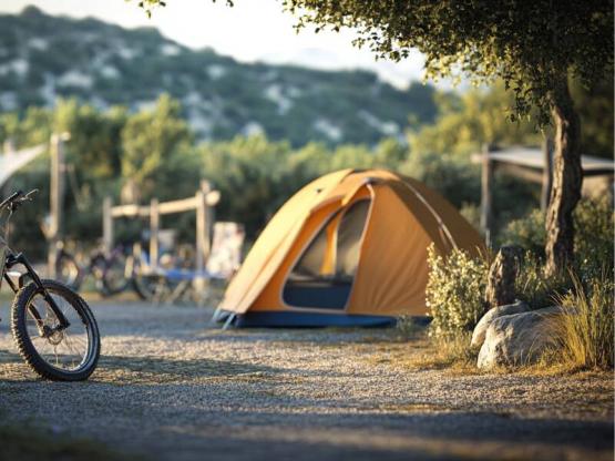 Comfort Small Tent Pitch / NO CAR ACCES