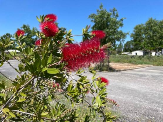 Trekking package - 1 person on foot or by bike, without electricity